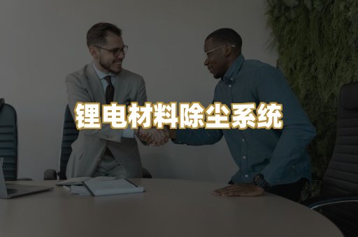 锂电材料除尘系统